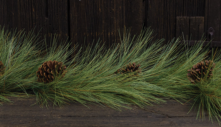 Long Needle Pine Tree - 30