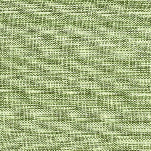 Casual Classics Napkin - Celery Set of 6 Park Designs - The Fox Decor