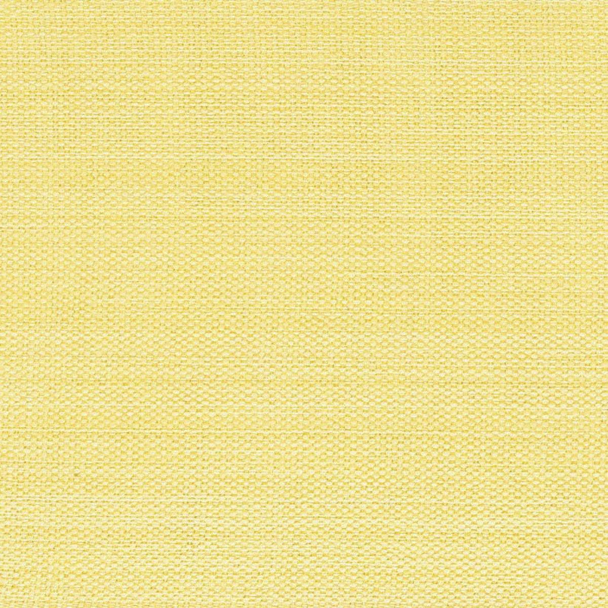 Casual Classics Napkin - Butter set of 4 Park Designs - The Fox Decor