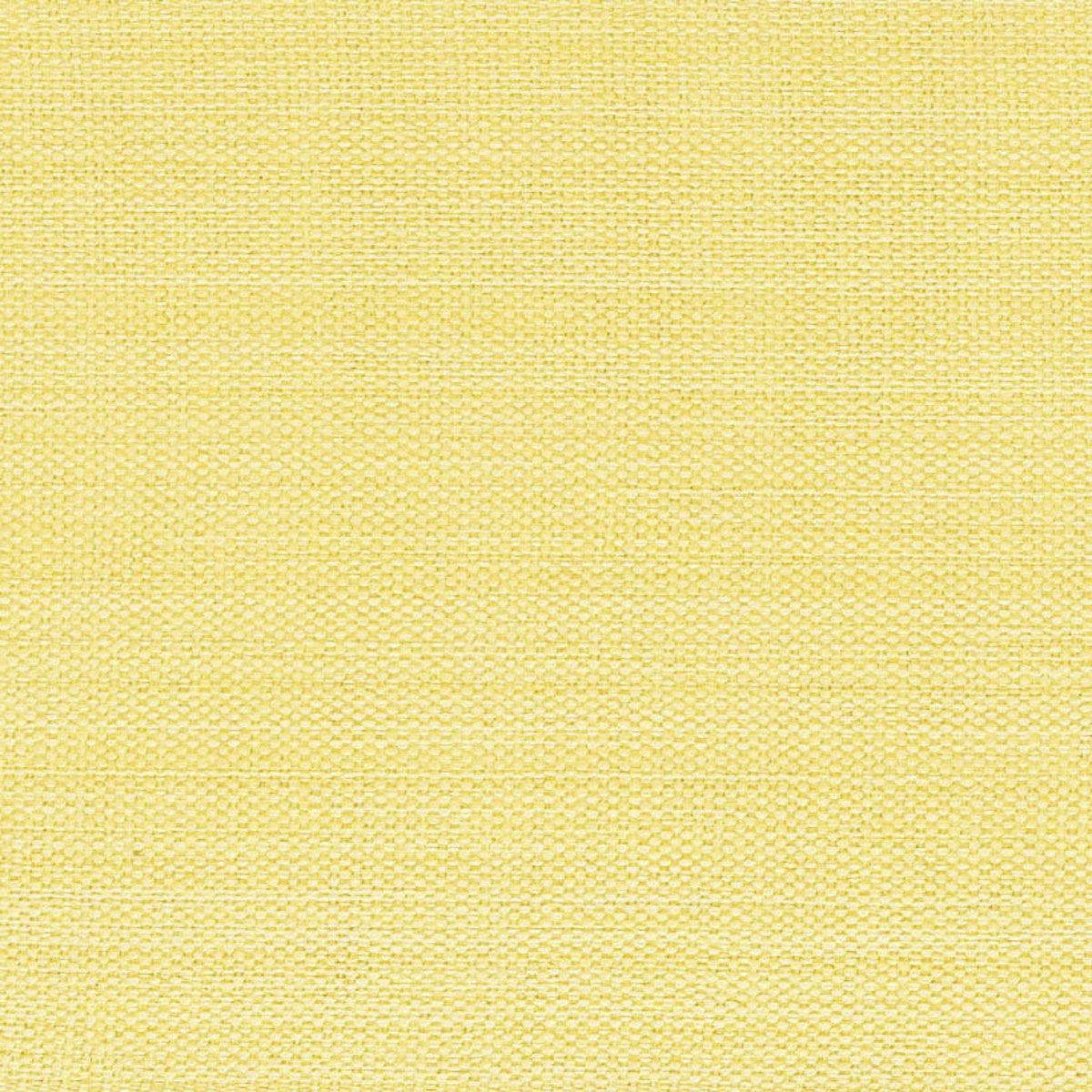 Casual Classics Napkin - Butter set of 4 Park Designs - The Fox Decor