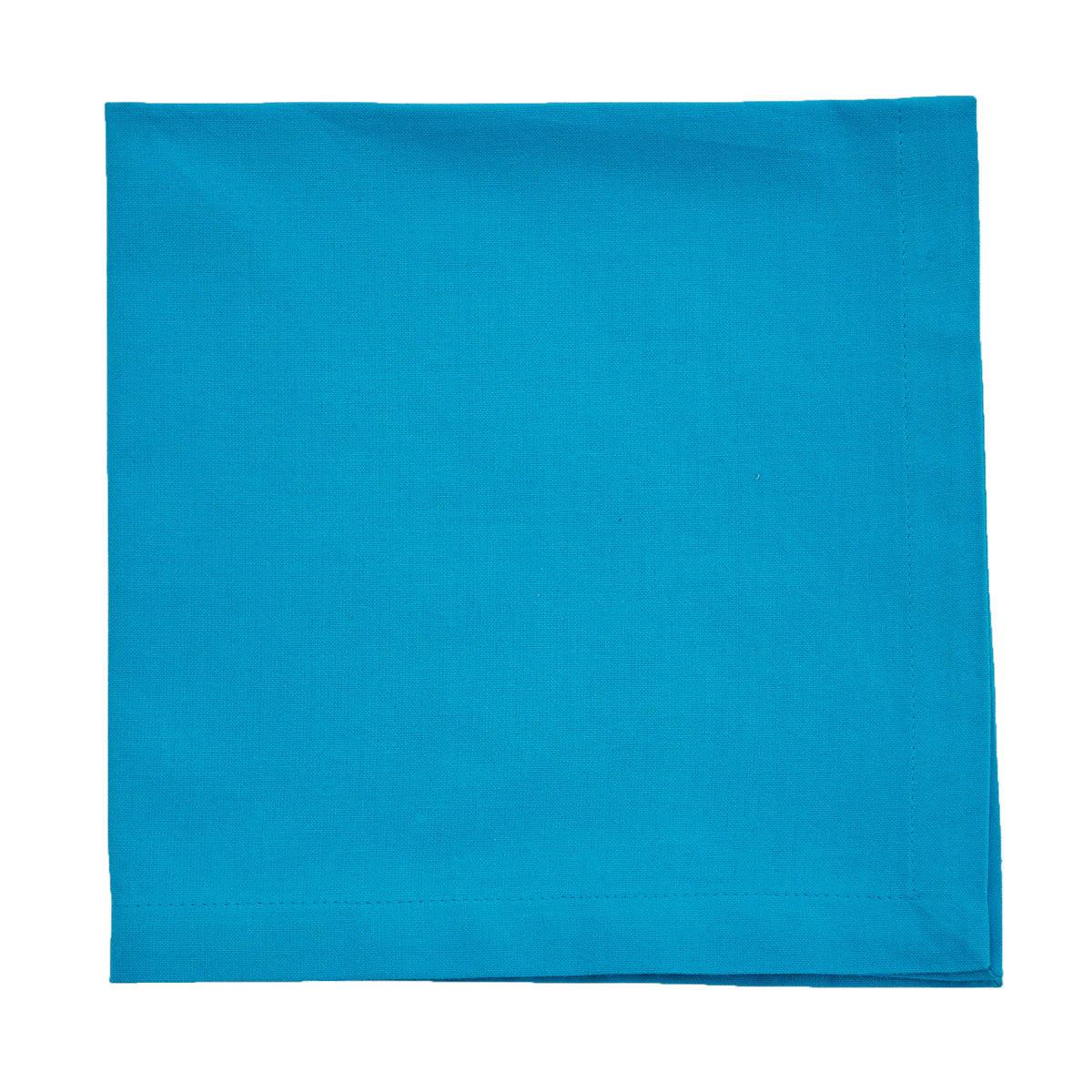Elements Napkin - Bright Aqua Set of 4 Park Designs - The Fox Decor