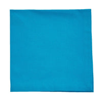 Elements Napkin - Bright Aqua Set of 4 Park Designs - The Fox Decor
