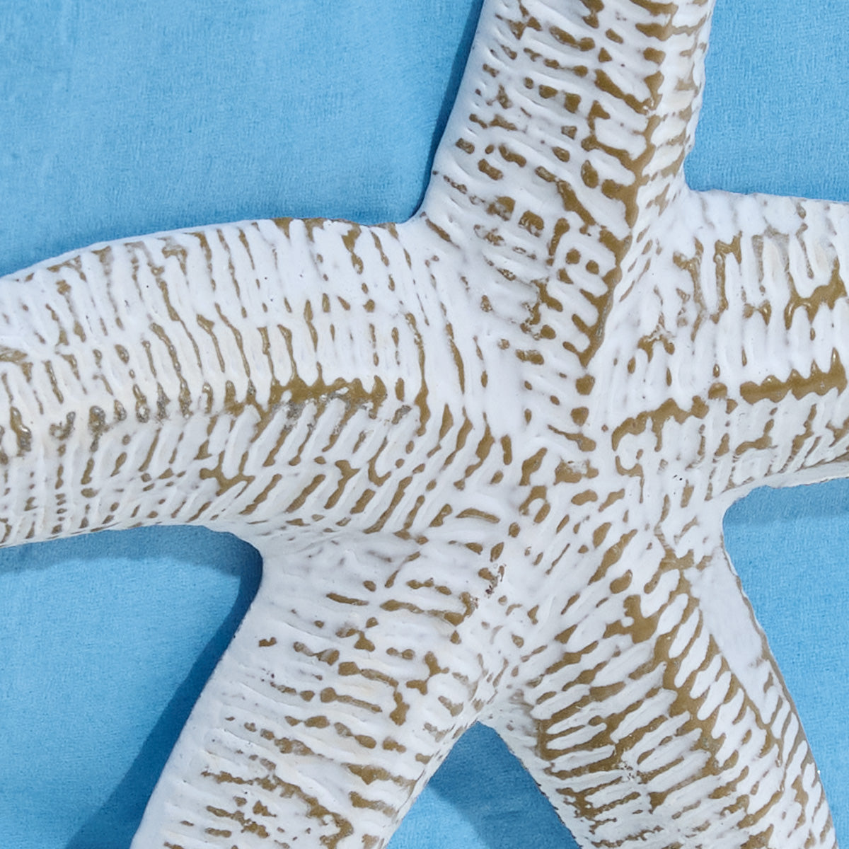 Tropical Nautical Starfish Lunch Napkin Holder  6.25" Park Designs