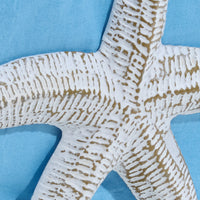 Tropical Nautical Starfish Lunch Napkin Holder  6.25