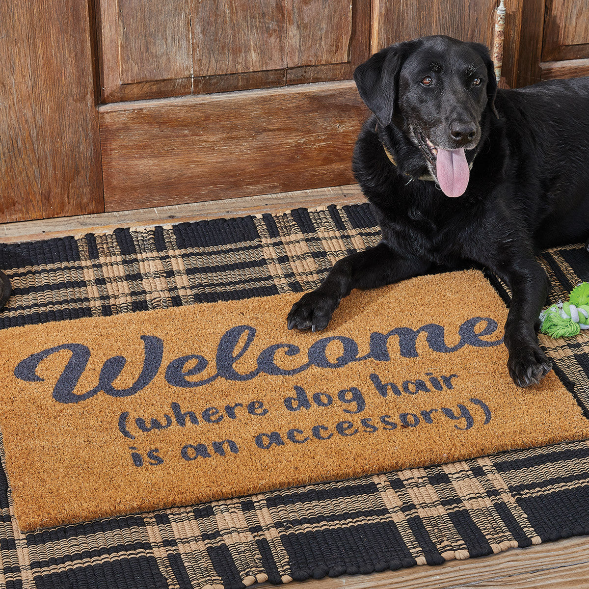 Welcome Dog Hair Doormat  Park Designs