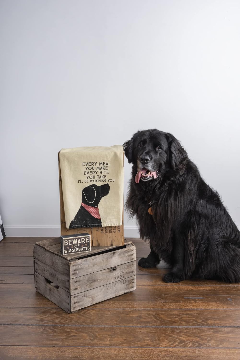 I'll Be Watching You Kitchen Dish Towel