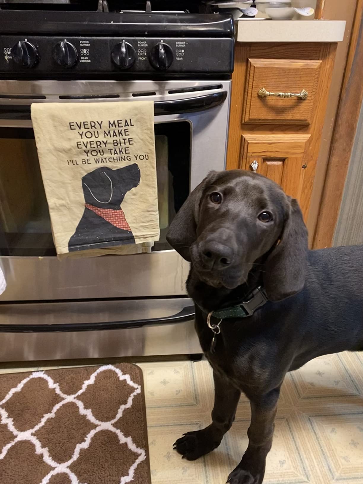 I'll Be Watching You Kitchen Dish Towel