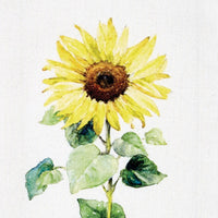 Follow The Sun Dishtowel - Set of 6 Park Designs - The Fox Decor