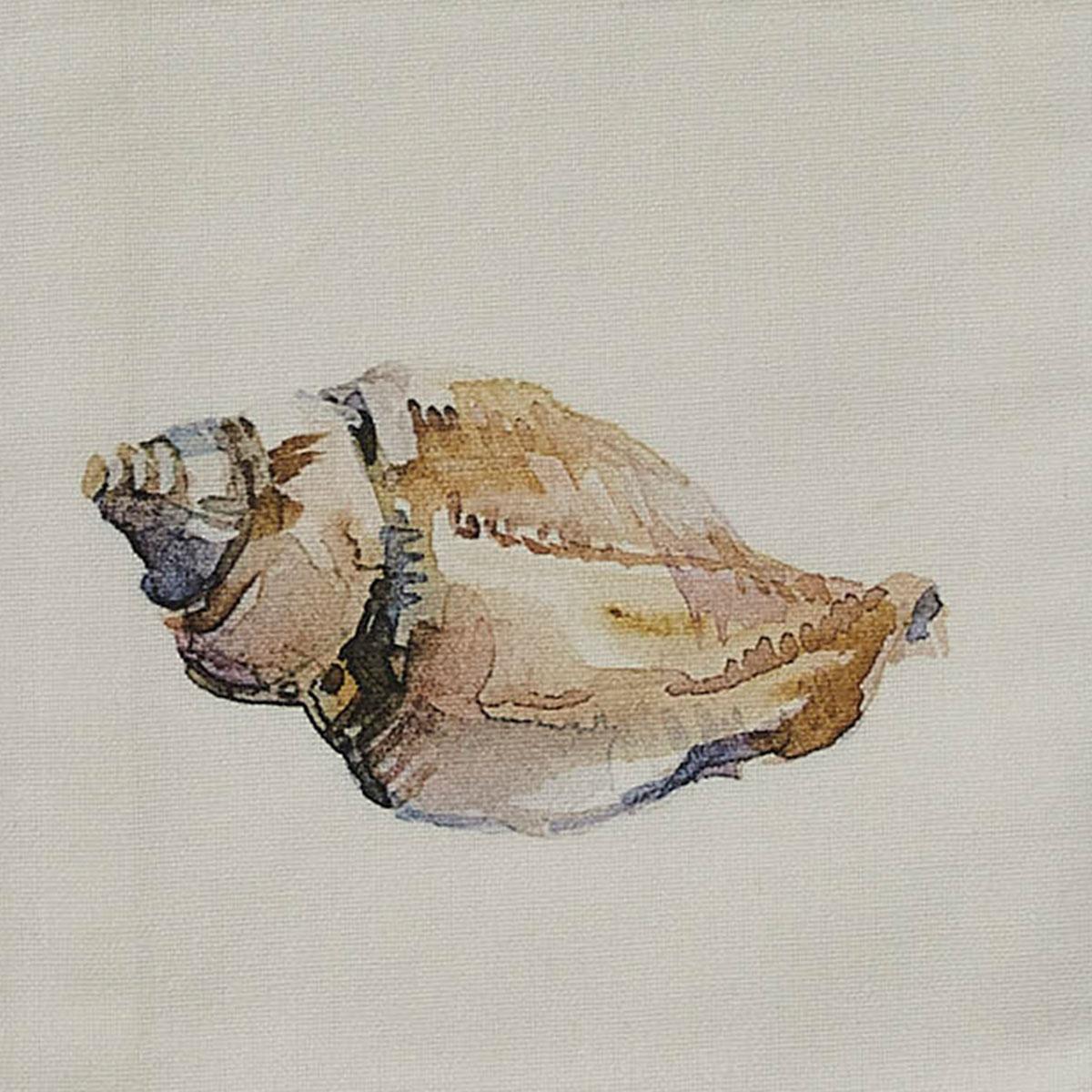 Shore Conch Dishtowel - The Fox Decor