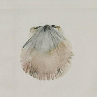 Shore Scallop Dishtowel - The Fox Decor