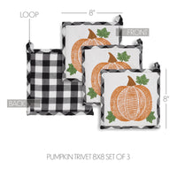 Thumbnail for Annie Black Check Pumpkin Trivet 8x8 Set of 3