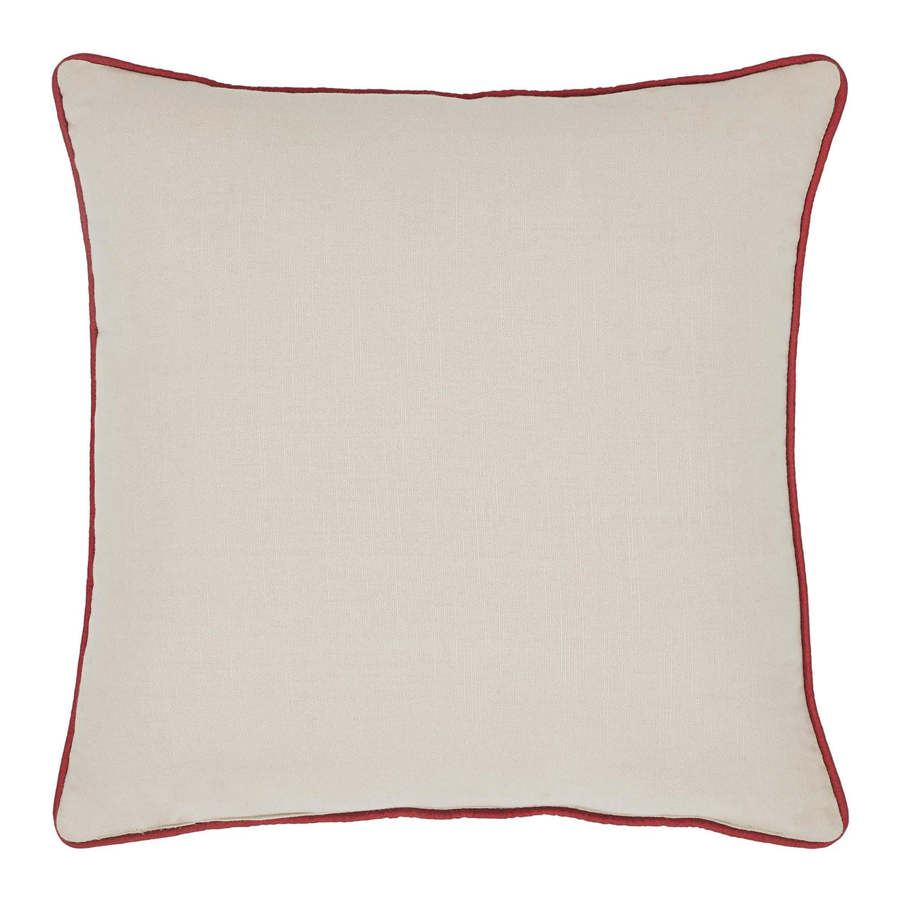 Let's Get Poppin Pillow 18x18 - The Fox Decor