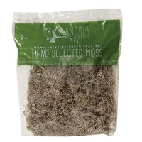 Spanish Moss 328 Cubic Inches - The Fox Decor