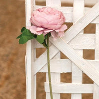 Peony Stem Pink - The Fox Decor