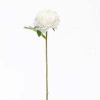 Peony Stem White - The Fox Decor