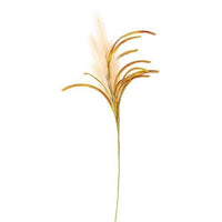 Pampas Spray Natural 31 - The Fox Decor