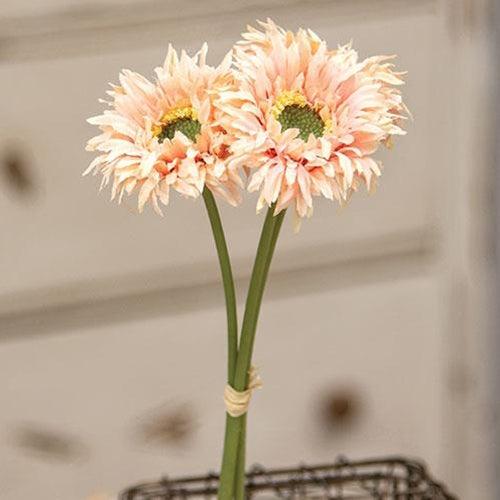 Triple Gerbera Daisy Bouquet Peach - The Fox Decor