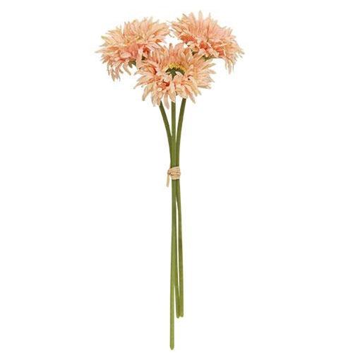 Triple Gerbera Daisy Bouquet Peach - The Fox Decor