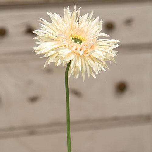 Gerbera Daisy Stem Cream Pink - The Fox Decor