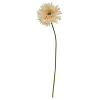 Gerbera Daisy Stem Cream Pink - The Fox Decor