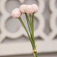Pink Billy Ball Bouquet - The Fox Decor