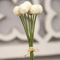 White Billy Ball Bouquet - The Fox Decor