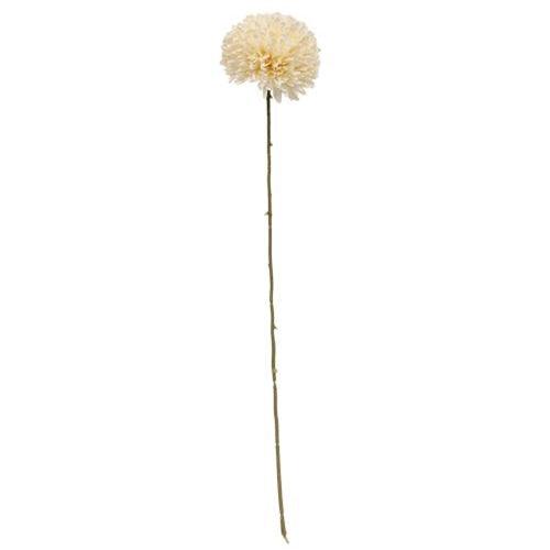 Cream Pompom Spray - The Fox Decor
