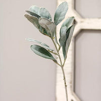 Frosted Lamb's Ear Pick - The Fox Decor