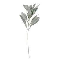 Frosted Lamb's Ear Pick - The Fox Decor