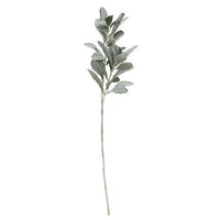 Frosted Lamb's Ear Spray - The Fox Decor
