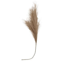 Pampas Grass Spray 45 Taupe - The Fox Decor