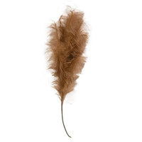 Weeping Pampas Grass Branch Brown - The Fox Decor