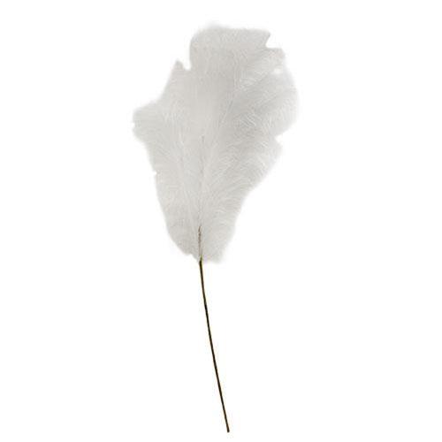 Weeping Pampas Grass Branch White - The Fox Decor