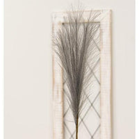 Pampas Grass Pick 28 Gray - The Fox Decor