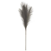 Pampas Grass Pick 28 Gray - The Fox Decor