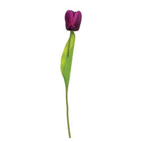 Purple Tulip Stem 155 - The Fox Decor