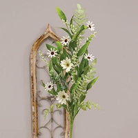 Cape Daisy Astilbe & Herb Spray - The Fox Decor
