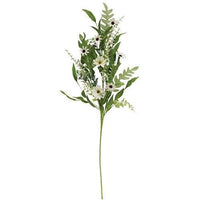 Cape Daisy Astilbe & Herb Spray - The Fox Decor