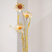 Wispy Late Summer Daisy & Dried Grass Spray - The Fox Decor