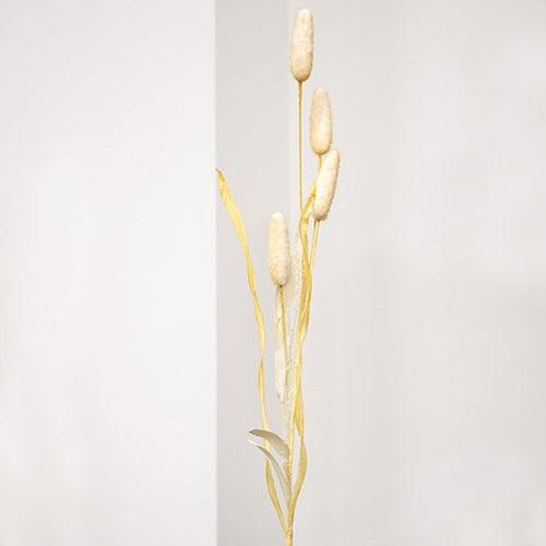 Wispy Late Summer Bunny Tail & Leaf Spray - The Fox Decor