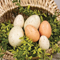 6 Set Natural Speckled Eggs in Bag - The Fox Decor