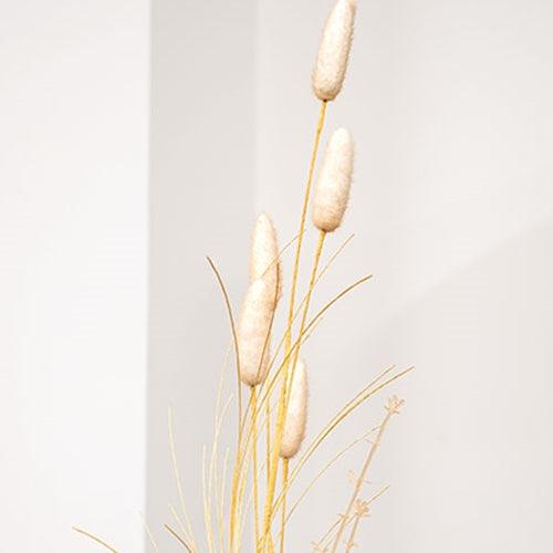 Late Summer Bunny Tail & Dried Grass Spray - The Fox Decor