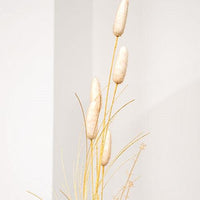 Late Summer Bunny Tail & Dried Grass Spray - The Fox Decor