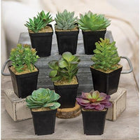Artificial Potted Succulent 8 Asstd - The Fox Decor