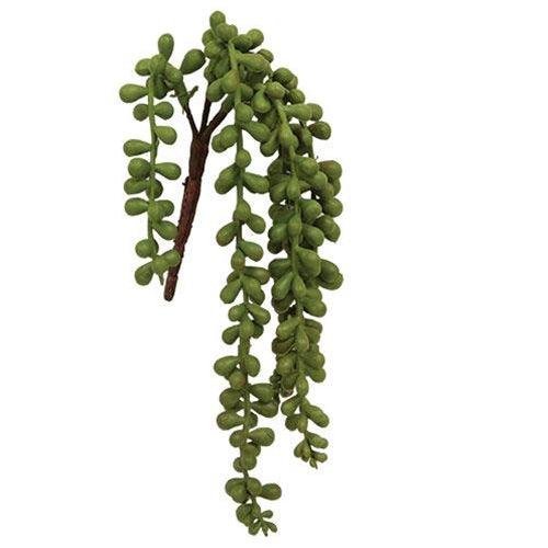 Succulent Strand 1375 L - The Fox Decor