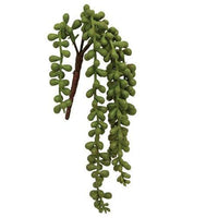 Succulent Strand 1375 L - The Fox Decor
