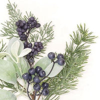 Royal Blue Berries Cedar & Lamb's Ear Pick 15 - The Fox Decor