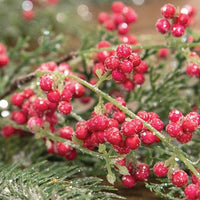 Sparkling Red Berries & Mixed Greens Garland 5ft - The Fox Decor