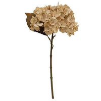 Antique Ivory Autumn Hydrangea Pick - The Fox Decor