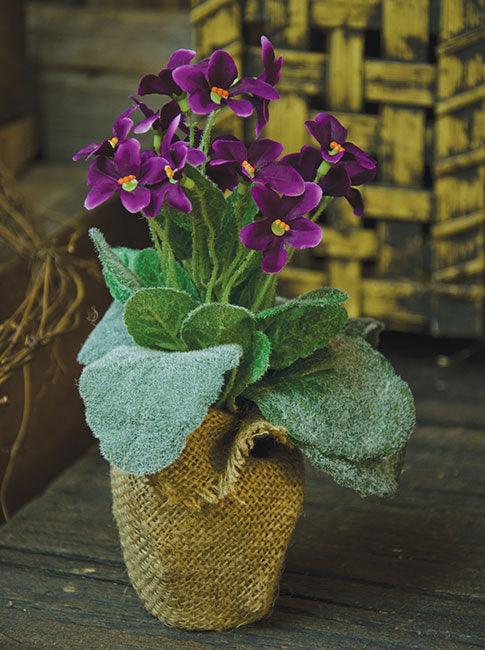 Potted Violet - The Fox Decor